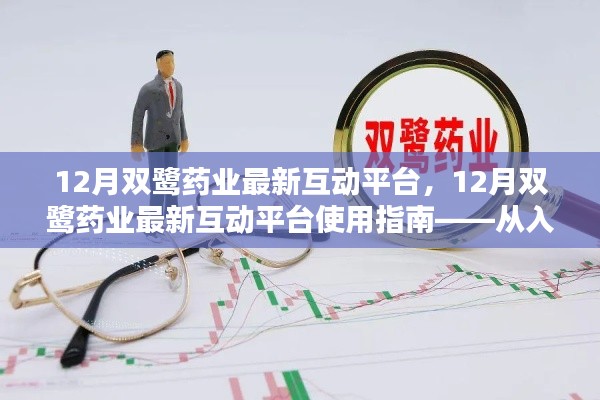 12月双鹭药业互动平台使用指南,从新手到精通