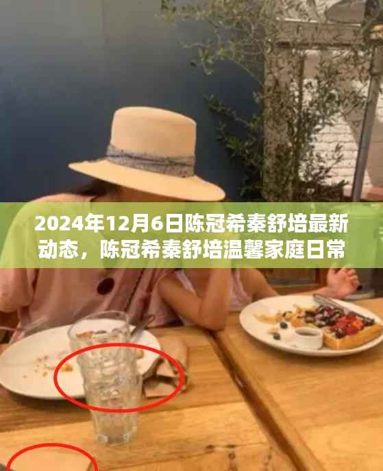 陈冠希秦舒培最新动态,温馨家庭日常与快乐时光回顾(2024年12月6日)