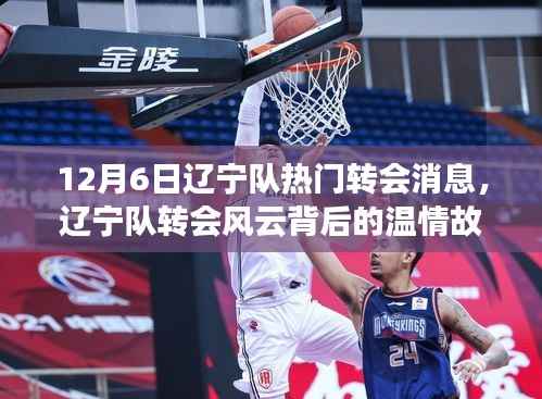 辽宁队转会风云揭秘,友谊与陪伴的冬日温情故事(转会消息速递)