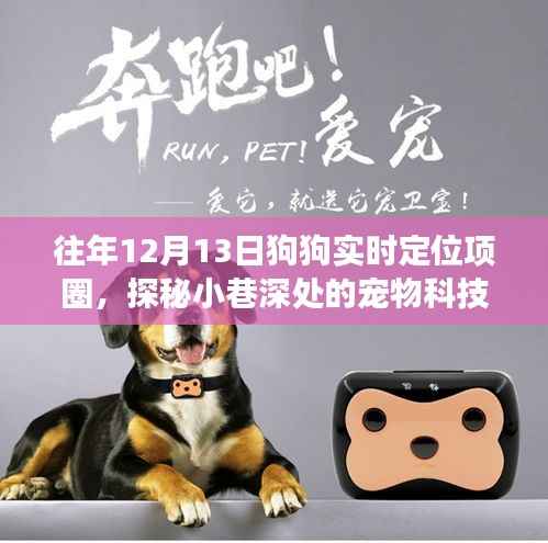 探秘宠物科技秘境,揭秘狗狗实时定位项圈的奇妙之旅(12月13日)