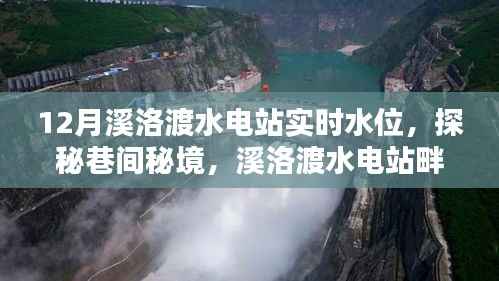 溪洛渡水电站畔,水位之下的美味秘境探秘