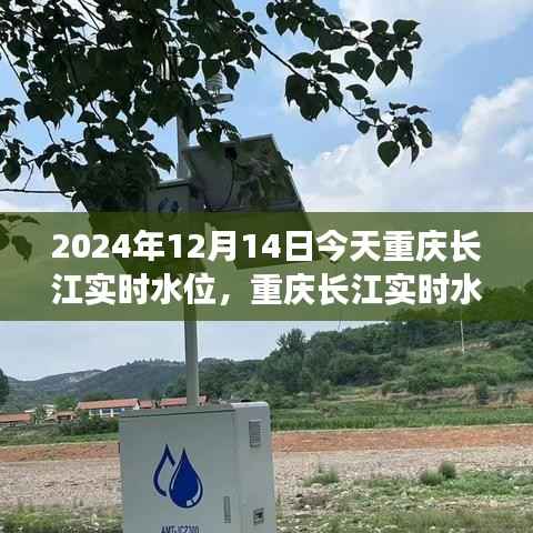 重庆长江实时水位波动下的多重视角分析,今日水位及未来趋势探讨(2024年12月14日)
