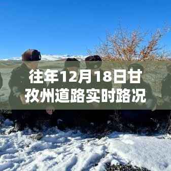 风雪无阻,甘孜州道路实时路况回顾与坚守前行者的故事