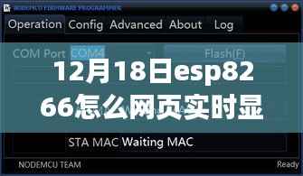 ESP8266网页实时数据显示指南,12月18日ESP8266实时数据展示教程