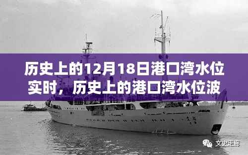 港口湾水位波动揭秘,探寻十二月十八日的历史秘密与实时水位数据