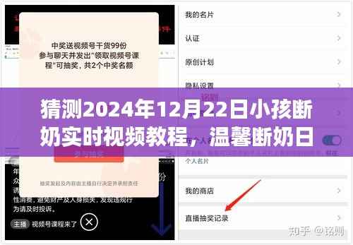 2024年圣诞前夕的温馨断奶纪实,亲子情深与实时视频教程