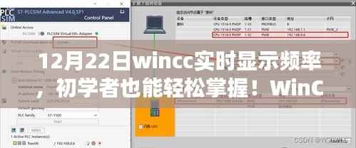 WinCC实时显示频率详解,初学者与进阶用户的指南(附详细步骤)