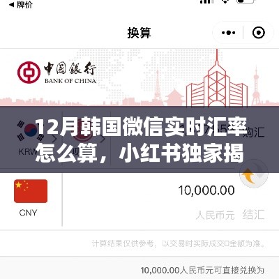 小红书独家揭秘,12月韩国微信实时汇率计算全攻略与实用技巧