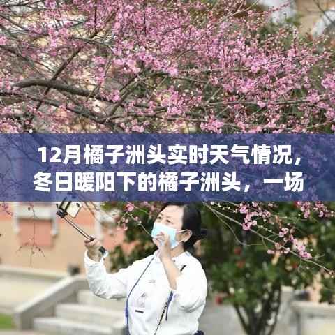 冬日暖阳下的橘子洲头,实时天气与心灵之旅