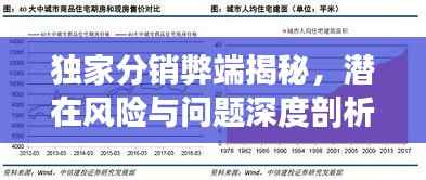 独家分销弊端揭秘,潜在风险与问题深度剖析