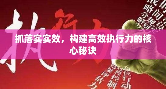 抓落实实效,构建高效执行力的核心秘诀