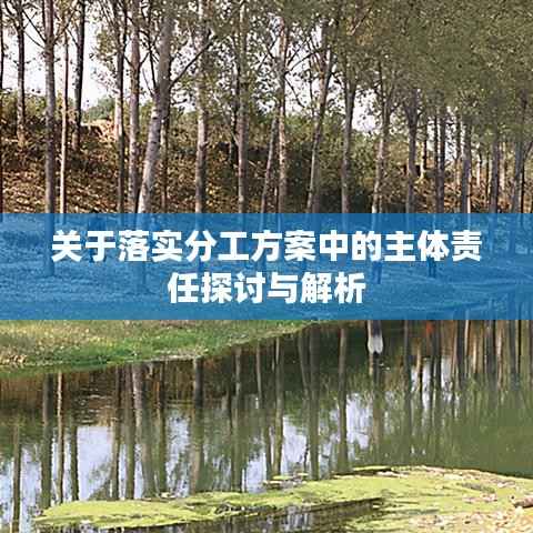 关于落实分工方案中的主体责任探讨与解析