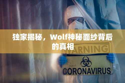 独家揭秘,Wolf神秘面纱背后的真相
