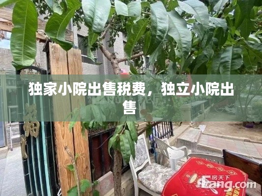独家小院出售税费,独立小院出售