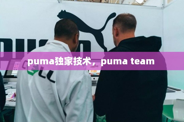 puma独家技术,puma team
