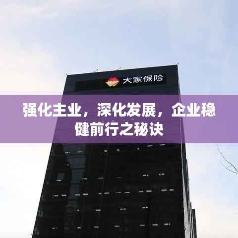 强化主业,深化发展,企业稳健前行之秘诀