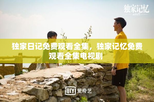 独家日记免费观看全集,独家记忆免费观看全集电视剧