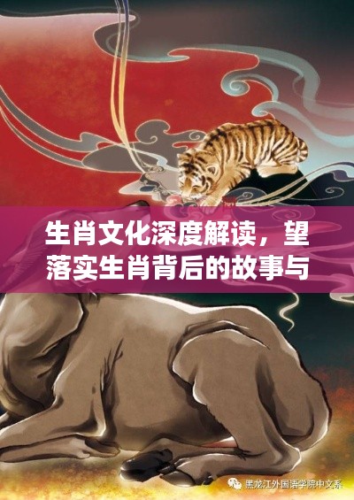 生肖文化深度解读,望落实生肖背后的故事与传承