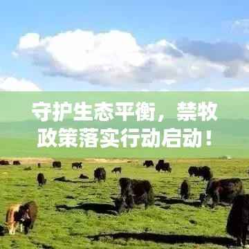 守护生态平衡,禁牧政策落实行动启动!