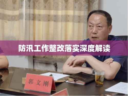防汛工作整改落实深度解读