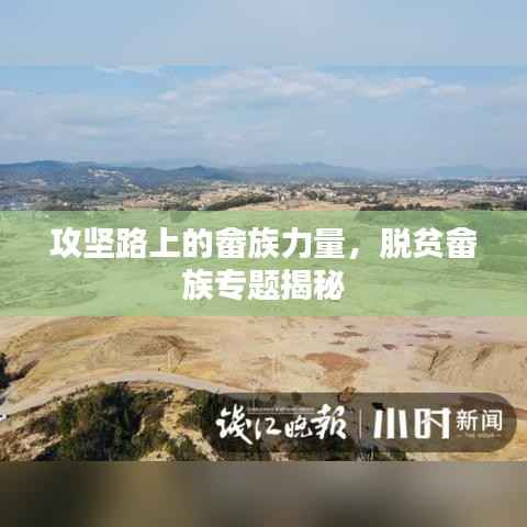 攻坚路上的畲族力量,脱贫畲族专题揭秘