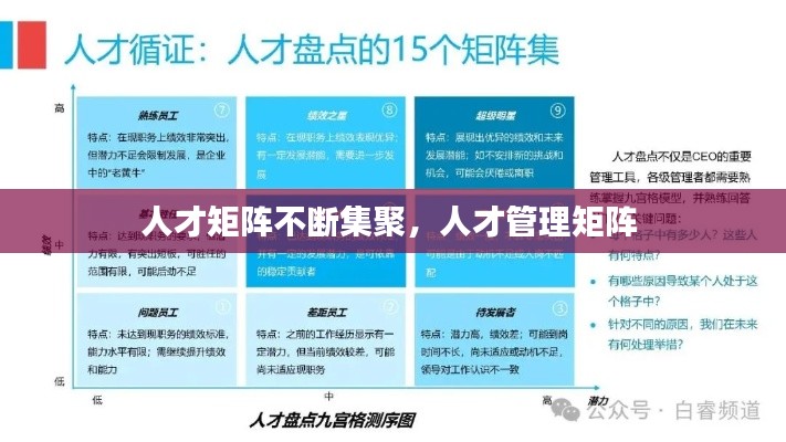 人才矩阵不断集聚,人才管理矩阵