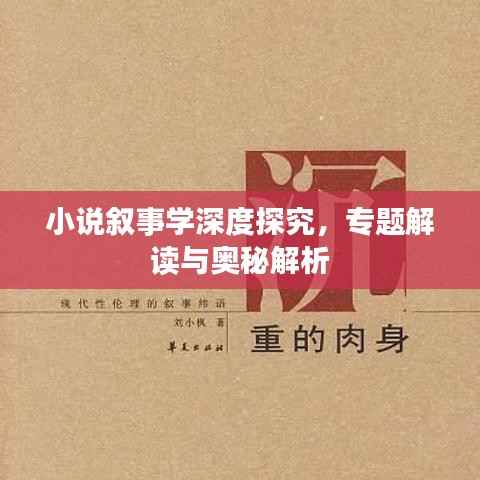 小说叙事学深度探究,专题解读与奥秘解析