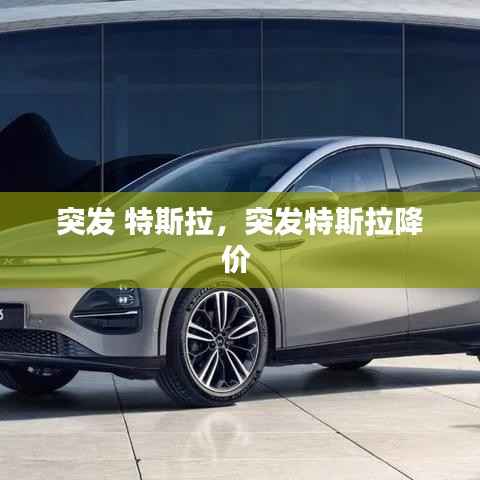 突发 特斯拉,突发特斯拉降价