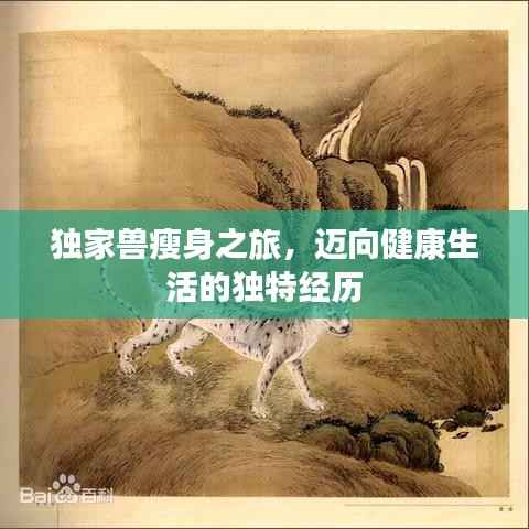 独家兽瘦身之旅,迈向健康生活的独特经历