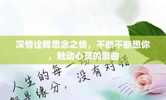 深情诠释思念之情,不断不断想你,触动心灵的歌曲