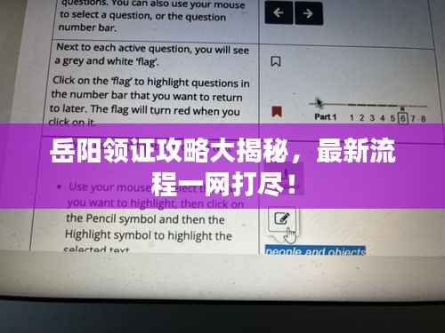 岳阳领证攻略大揭秘,最新流程一网打尽!