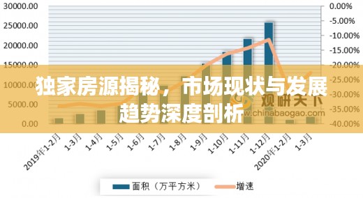 独家房源揭秘,市场现状与发展趋势深度剖析