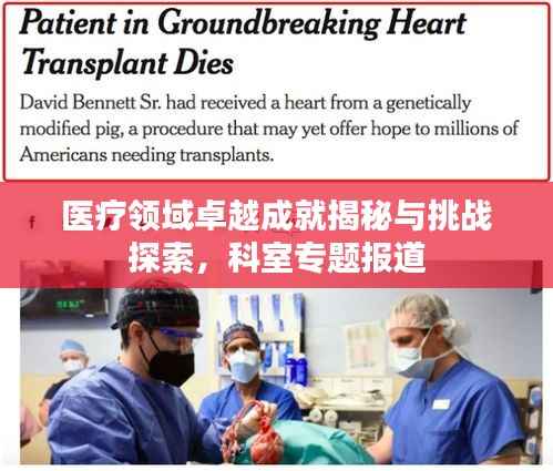 医疗领域卓越成就揭秘与挑战探索,科室专题报道
