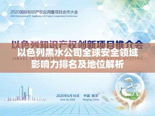 以色列黑水公司全球安全领域影响力排名及地位解析