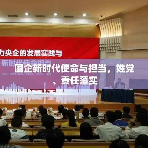 国企新时代使命与担当,姓党、责任落实
