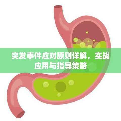 突发事件应对原则详解,实战应用与指导策略