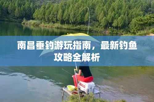 南昌垂钓游玩指南,最新钓鱼攻略全解析