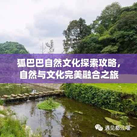 狐巴巴自然文化探索攻略,自然与文化完美融合之旅