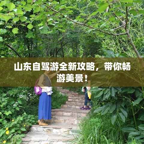 山东自驾游全新攻略,带你畅游美景!