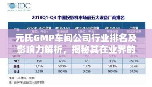 元氏GMP车间公司行业排名及影响力解析,揭秘其在业界的地位与影响力