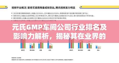 元氏GMP车间公司行业排名及影响力解析,揭秘其在业界的地位与影响力