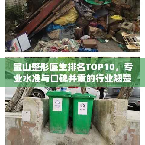 宝山整形医生排名TOP10,专业水准与口碑并重的行业翘楚
