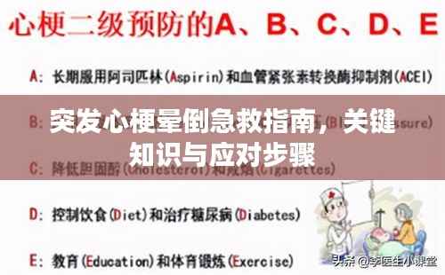 突发心梗晕倒急救指南,关键知识与应对步骤
