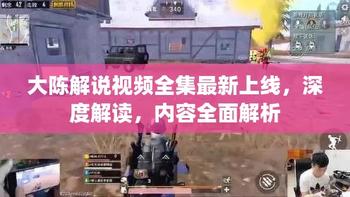 大陈解说视频全集最新上线,深度解读,内容全面解析