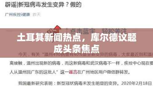 土耳其新闻热点,库尔德议题成头条焦点