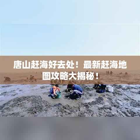 唐山赶海好去处!最新赶海地图攻略大揭秘!