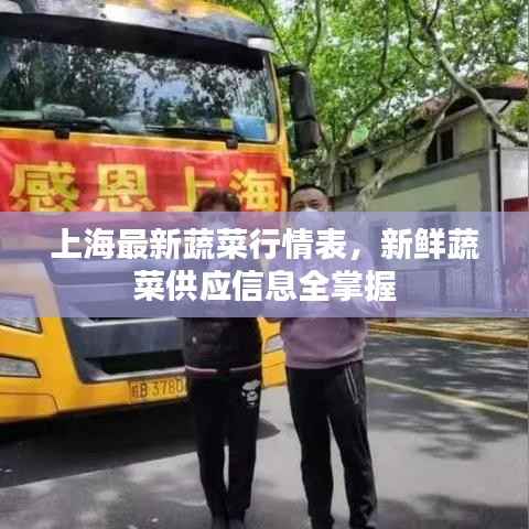 上海最新蔬菜行情表,新鲜蔬菜供应信息全掌握