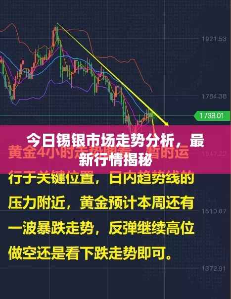 今日锡银市场走势分析,最新行情揭秘