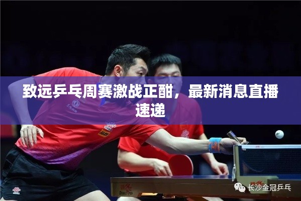 致远乒乓周赛激战正酣,最新消息直播速递