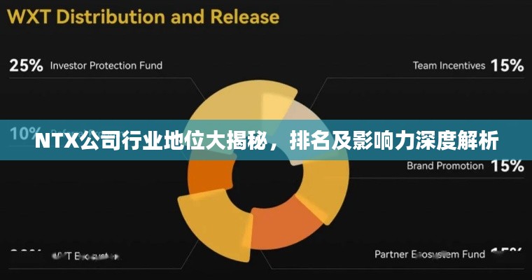 NTX公司行业地位大揭秘,排名及影响力深度解析